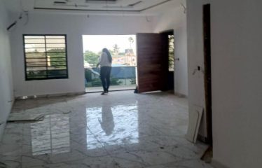 Exquisite Newly Built 4 Bedroom Penthouse Apartment with an Elevator, BQ, Gym and Swimming Pool For Sale @ Ikeja GRA