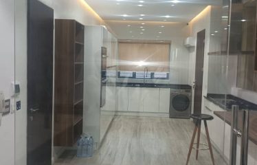 Luxurious Furnished 3 Bedroom Apartment with BQ (on the 3rd floor) For Sale @ Oniru Estate