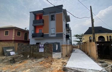 Stylish 5 Bedroom duplex with bq (2 units)
