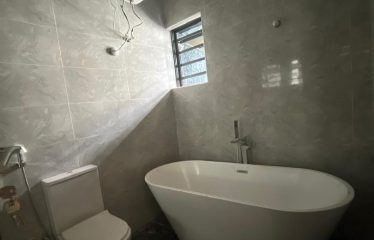 Modern 4 Bedroom Terrace Duplex with bq